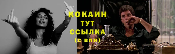 бошки Аркадак